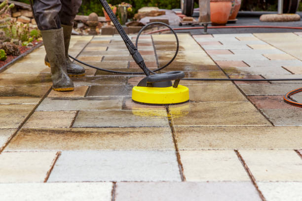 Professional Pressure Washing in Coal Valley, IL
